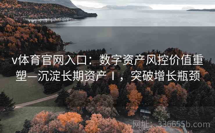 v体育官网入口：数字资产风控价值重塑—沉淀长期资产Ⅰ，突破增长瓶颈