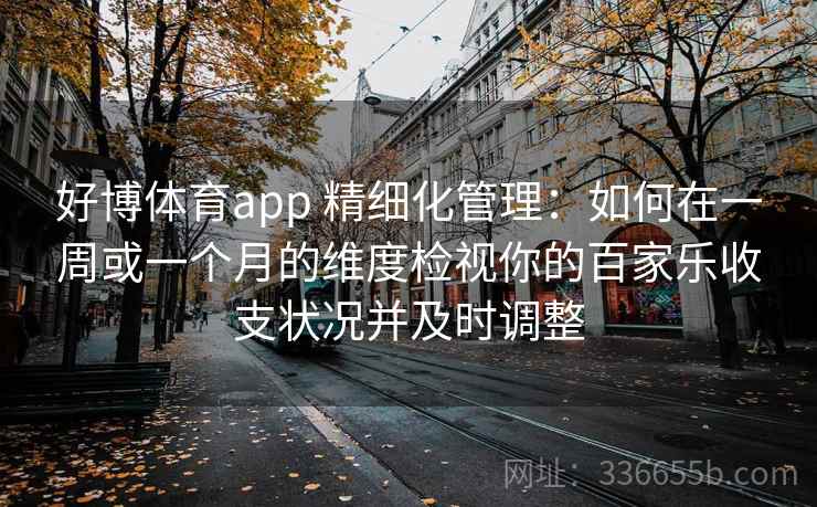 好博体育app 精细化管理：如何在一周或一个月的维度检视你的百家乐收支状况并及时调整