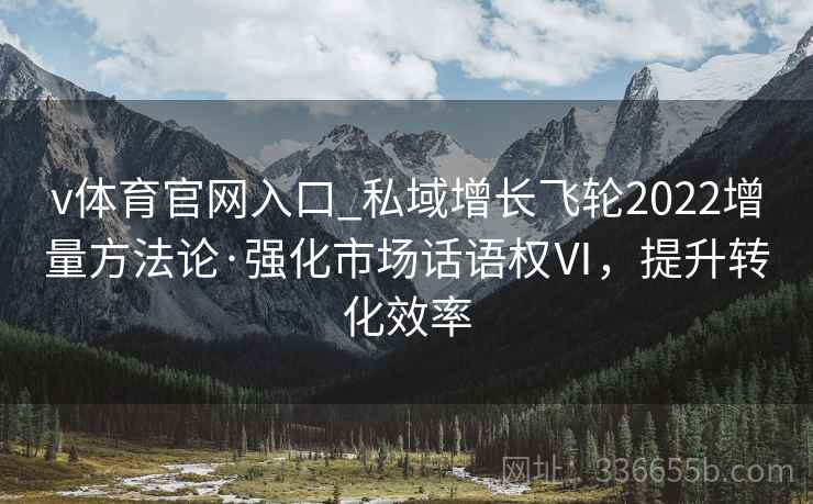 v体育官网入口_私域增长飞轮2022增量方法论·强化市场话语权Ⅵ，提升转化效率