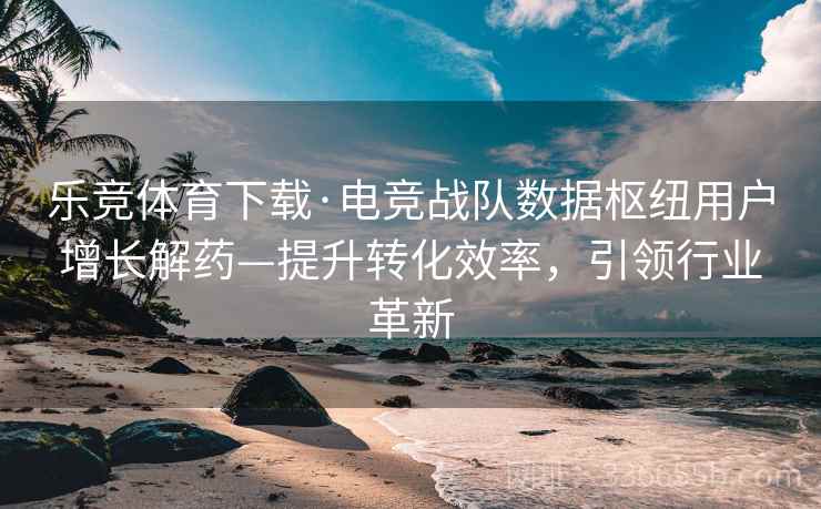 乐竞体育下载·电竞战队数据枢纽用户增长解药—提升转化效率，引领行业革新