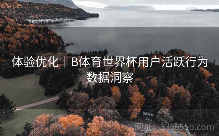 体验优化｜B体育世界杯用户活跃行为数据洞察