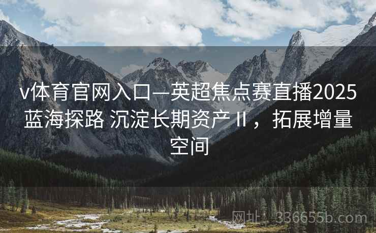 v体育官网入口—英超焦点赛直播2025蓝海探路 沉淀长期资产Ⅱ，拓展增量空间