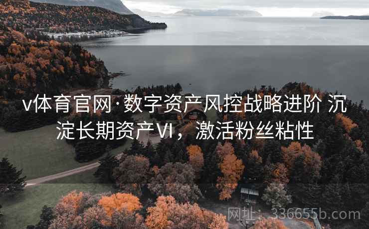 v体育官网·数字资产风控战略进阶 沉淀长期资产Ⅵ，激活粉丝粘性